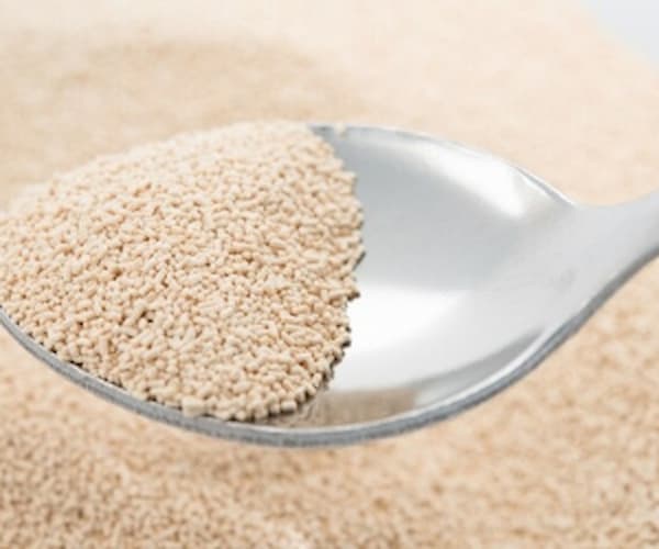تصویر 3 از خرید و فروش خمیر مایه تازه با شرایط فوق العاده